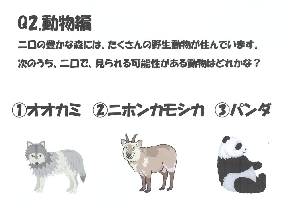 動物編