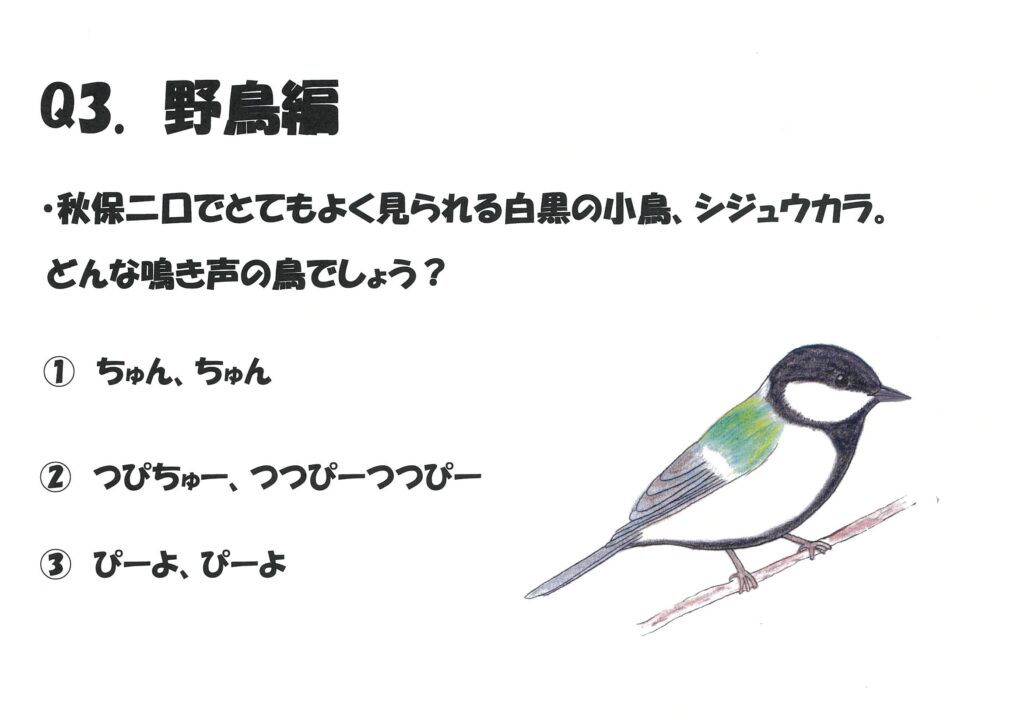 野鳥編